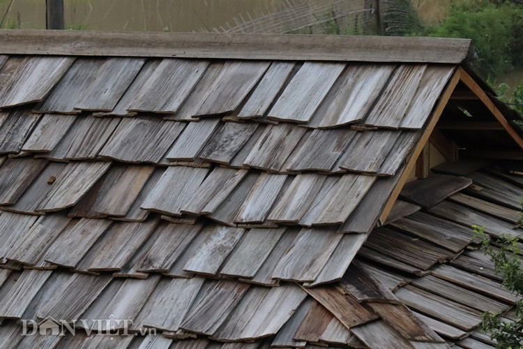 Kỳ lạ những mái nhà quanh năm "phát ra mùi thơm" ở Sơn La ảnh 8