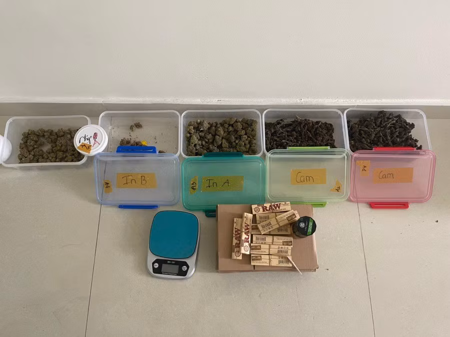 Số lượng cần sa mà công an thu giữ được. Ảnh: Công an cung cấp