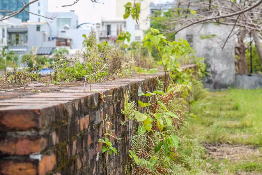 Dự án còn có hạng mục làm sạch, bảo quản toàn bộ bề mặt trong và ngoài tường thành, như: loại bỏ toàn bộ thành phần gây hư hại như cỏ dại, nấm mốc, địa y, rêu tảo... đồng thời, bảo quản toàn bộ bề mặt tránh sự xâm nhập trở lại của các yếu tố gây hư hại.