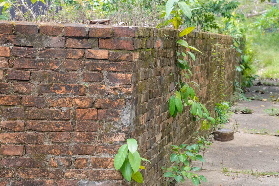 Mục tiêu dự án là tu bổ, phục hồi và tôn tạo di tích Thành Điện Hải – giai đoạn 2 nhằm bảo tồn tối đa các thành phần, dấu vết cấu thành di tích gốc, tái tạo một phần không gian cảnh quan và thành phần kiến trúc gốc trong khu vực thành nội. Bổ sung một số thành phần kiến trúc mới nhằm làm rõ hơn giá trị gốc của di tích, tôn vinh và phát huy giá trị của di tích trong cuộc sống đương đại.