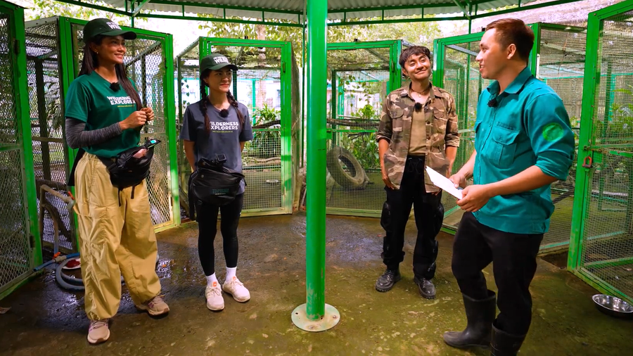 Các nghệ sĩ thăm động vật hoang dã tại Trung tâm cứu hộ, bảo tồn và phát triển sinh vật. (Ảnh: Ban Tổ chức).