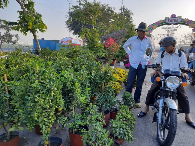 Rất đông khách tìm đến hỏi mua từ sáng sớm