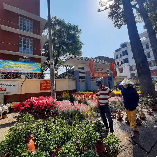 Trước cổng Trường THPT Hoàng Văn Thụ- Quận 10 cũng được bày bán nhiều loại cây, hoa cảnh dịp Tết Trước cổng Trường THPT Hoàng Văn Thụ- Quận 10 cũng được bày bán nhiều loại cây, hoa cảnh dịp Tết