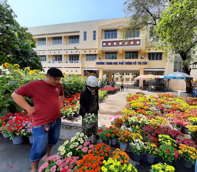 Cảnh khác lạ với bạt ngàn các loại hoa được tập kết trước sân Trường THPT Võ Thị Sáu TPHCM với đủ sắc màu của mùa Xuân Cảnh khác lạ với bạt ngàn các loại hoa được tập kết trước sân Trường THPT Võ Thị Sáu TPHCM với đủ sắc màu của mùa Xuân