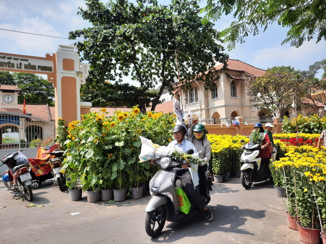 Trước cổng Trường THPT Chuyên Lê Hồng Phong trên đường Nguyễn Văn Cừ - Quận 5 là điểm bán hoa dịp Tết truyền thống tạo không khí nhộn nhịp ngày giáp Tết. Trước cổng Trường THPT Chuyên Lê Hồng Phong trên đường Nguyễn Văn Cừ - Quận 5 là điểm bán hoa dịp Tết truyền thống tạo không khí nhộn nhịp ngày giáp Tết.