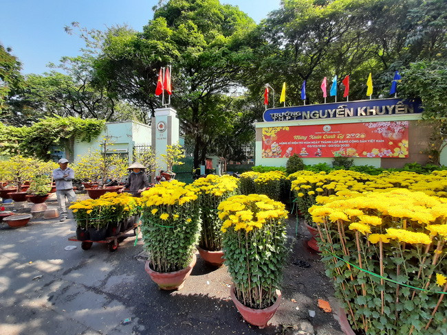 Hàng trăm chậu cúc đại đóa sắc vàng rực rỡ trước cổng trường THPT Nguyễn Khuyến - đường Thành Thái -Quận 10 Hàng trăm chậu cúc đại đóa sắc vàng rực rỡ trước cổng trường THPT Nguyễn Khuyến - đường Thành Thái -Quận 10
