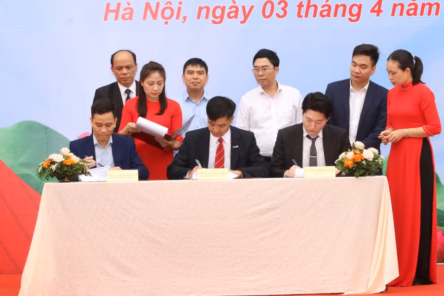 Nhà trường ký kết hợp tác với doanh nghiệp tạo việc làm cho học sinh sinh viên sau tốt nghiệp