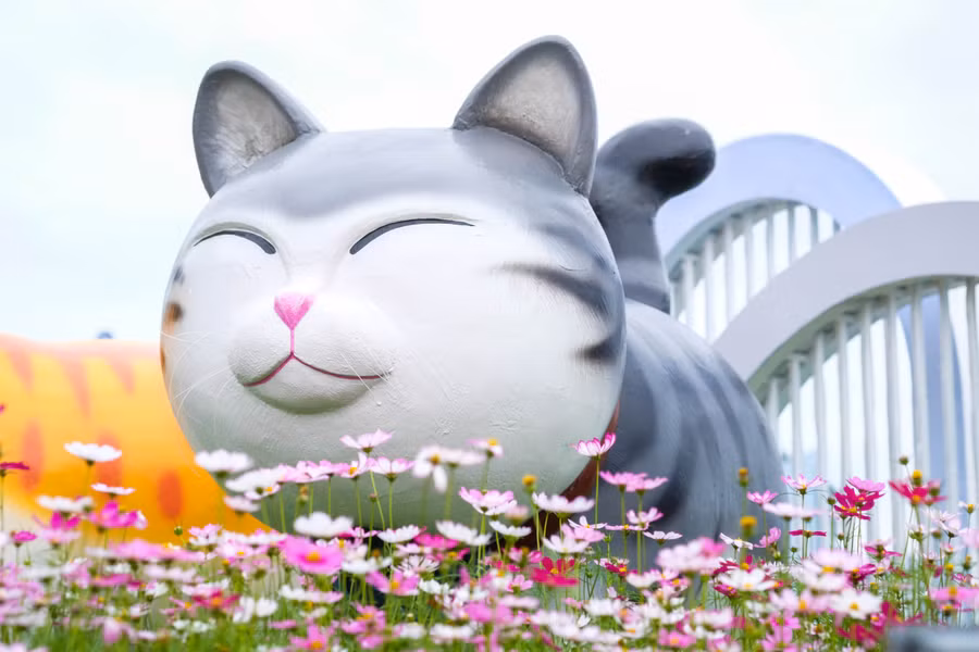 Đường hoa Xuân trên tuyến phố Bạch Đằng với cảnh trí là những chú mèo ngộ nghĩnh. Ảnh: Hoàng Vinh.