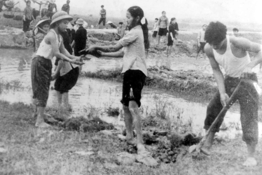 Nhiều học sinh của trường đã tự nguyện ở lại quê nhà lao động sản xuất, trở thành những nhân tố tiêu biểu của hậu phương.