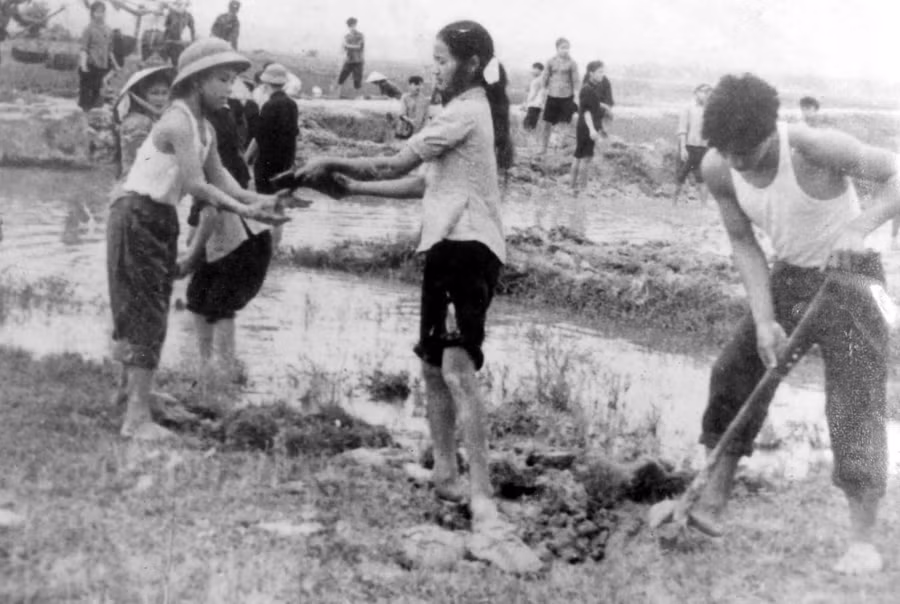 Nhiều học sinh của trường đã tự nguyện ở lại quê nhà lao động sản xuất, trở thành những nhân tố tiêu biểu của hậu phương.