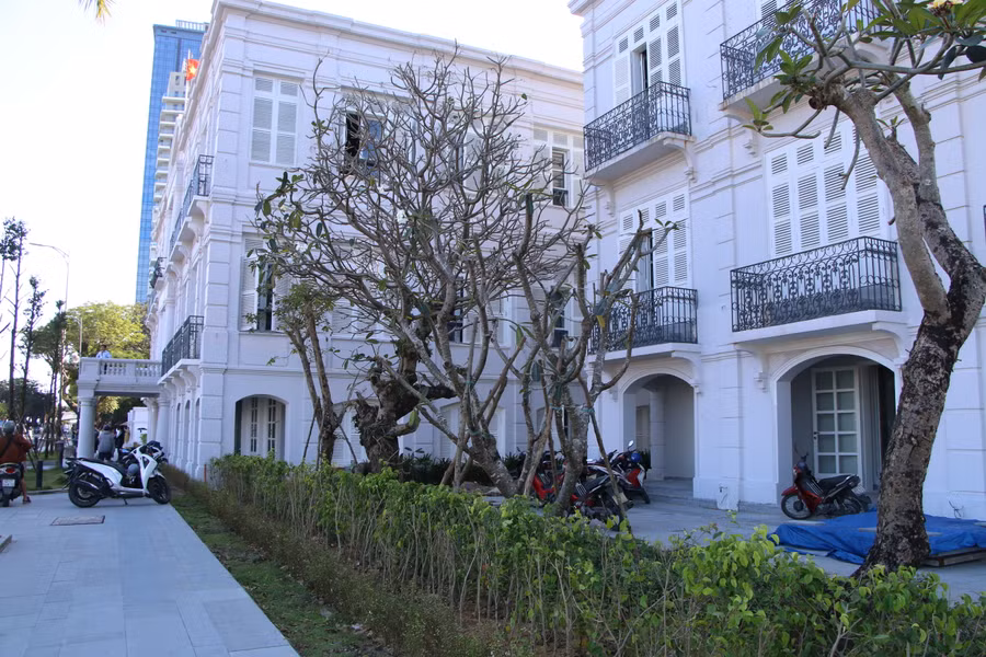 Theo thiết kế, để tạo không gian mở, 3 khối nhà liền kề sẽ không có hàng rào. Từ trước tết Nguyên đán Quý Mão, đơn vị thi công sau khi cho lát nền, vỉa hè đã tiến hành dỡ bỏ hàng rào cứng và trồng cây làm hàng rào mềm. Ảnh: Hoàng Vinh.