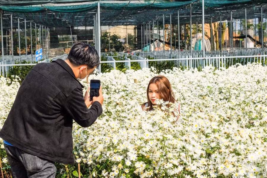 Người dân và du khách đổ xô đến đây để chụp ảnh check-in, “sống ảo”.