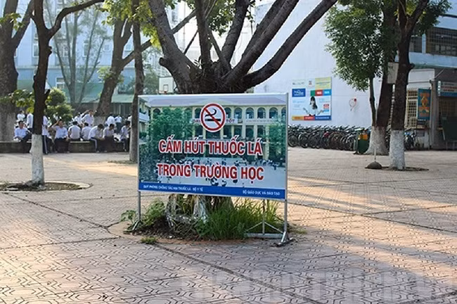 Bảng cấm hút thuốc lá trong trường học tại TPHCM. Ảnh: IT