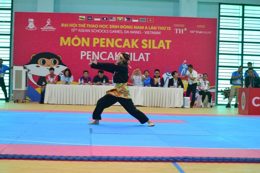 Vận động viên Hoàng Linh Đan đã biểu diễn những đường quyền vững chắc.