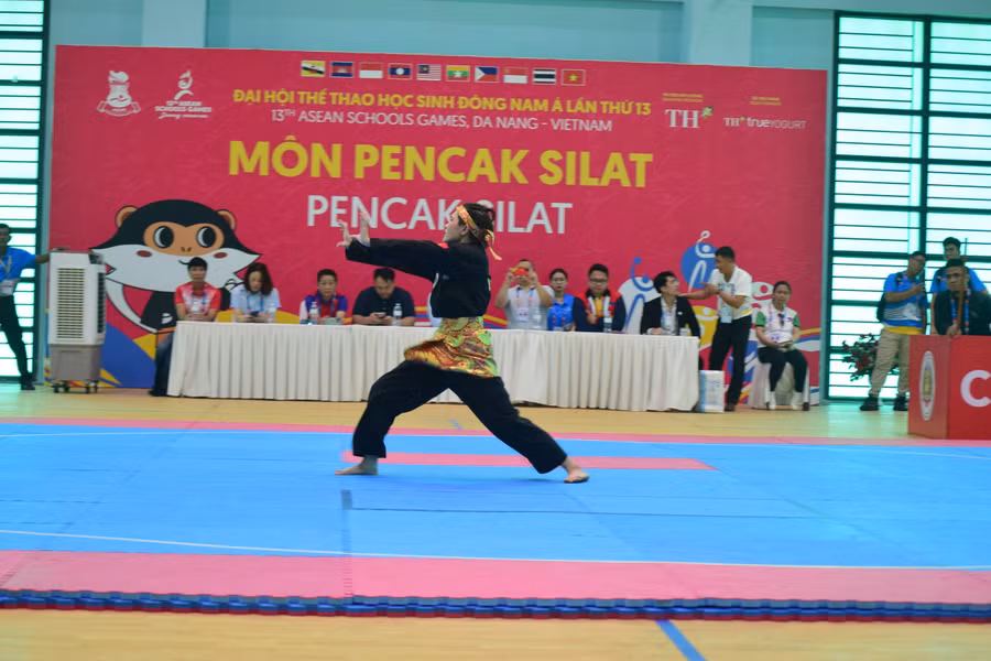 Vận động viên Hoàng Linh Đan đã biểu diễn những đường quyền vững chắc.