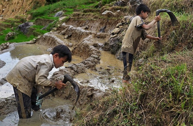 Giảm nghèo ở trẻ em là một giải pháp giảm nghèo bền vững