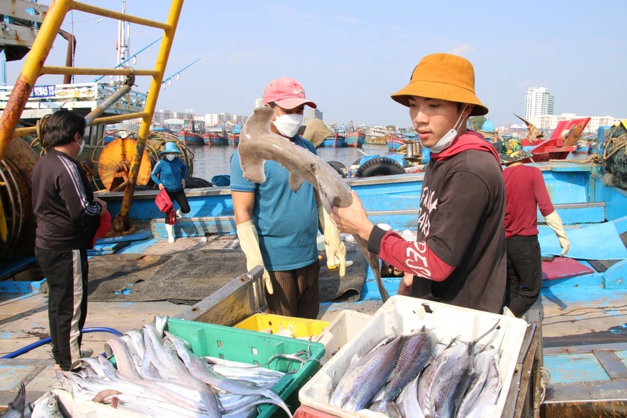 Ngư dân phấn khởi trong chuyến đi biển cuối năm. 