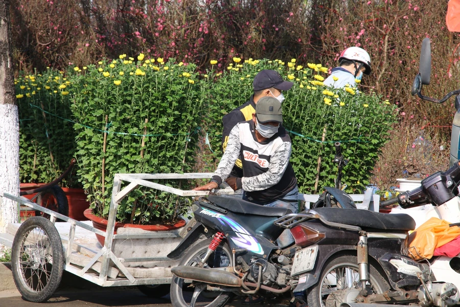 Chợ hoa Tết Đà Nẵng vắng bóng người mua. 