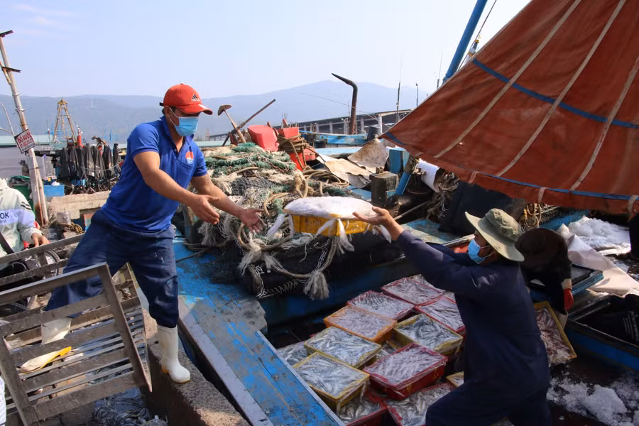 “Lộc biển” của ngư dân trong dịp Tết.