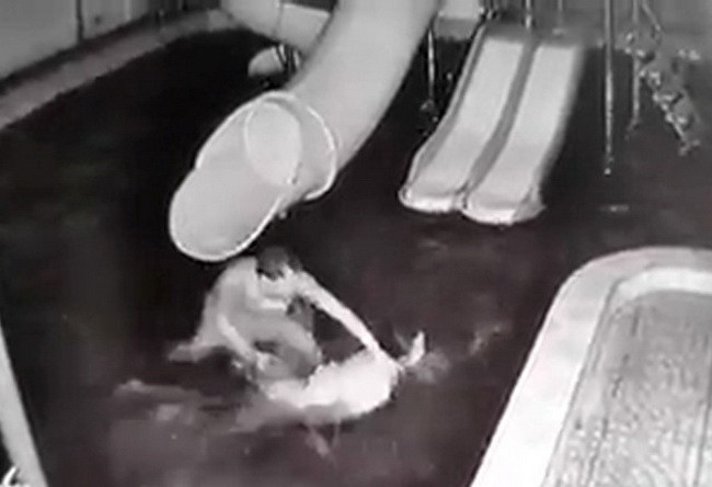 Chị M. bị chồng dìm xuống nước ( Ảnh: Cắt từ Clip)