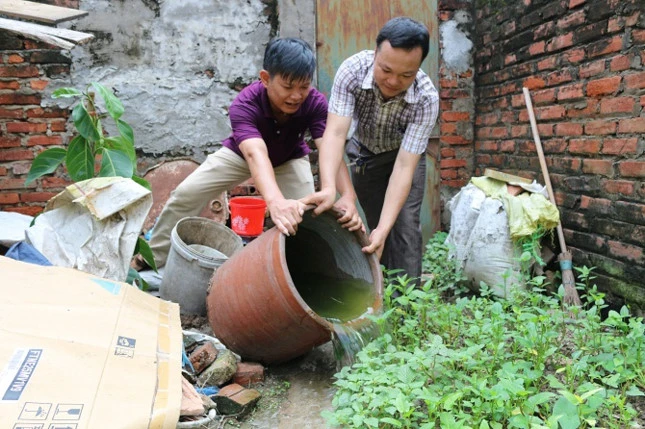 Diệt loăng quăng để phòng chống dịch sốt xuất huyết.