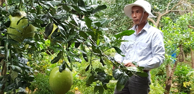 Thông qua đào tạo nghề, người nông dân còn có thể tự thành lập tổ hợp tác Thông qua đào tạo nghề, người nông dân còn có thể tự thành lập tổ hợp tác