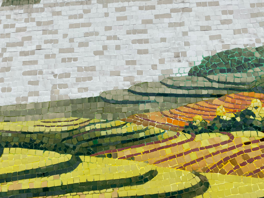 Ruộng bậc thang của vùng miền núi ở Việt Nam. Ảnh: Hoàng Vinh. Ruộng bậc thang của vùng miền núi ở Việt Nam. Ảnh: Hoàng Vinh.