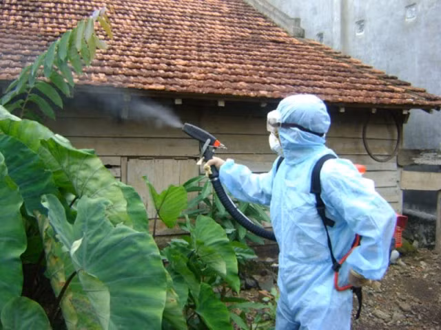 Chủ động phòng, chống sốt xuất huyết