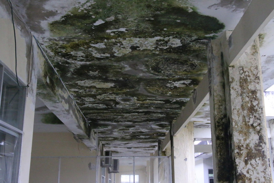 Trần nhà bị thấm giọt gây nên ẩm mốc. Trần nhà bị thấm giọt gây nên ẩm mốc.
