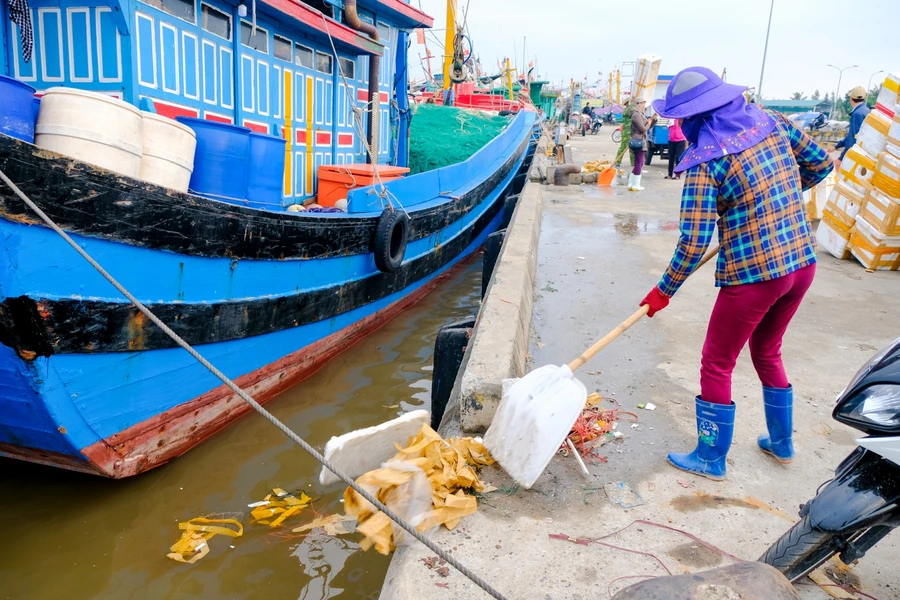 Thu gom rác ven bờ biển (Internet)