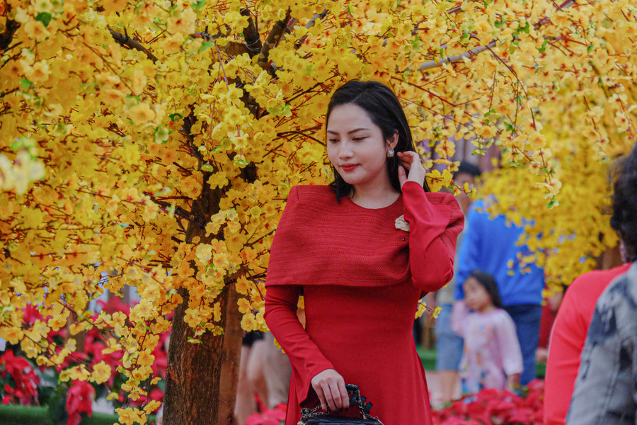 Đường hoa Xuân Đà Nẵng được giữ lại đến Tết Nguyên tiêu. Đường hoa Xuân Đà Nẵng được giữ lại đến Tết Nguyên tiêu.