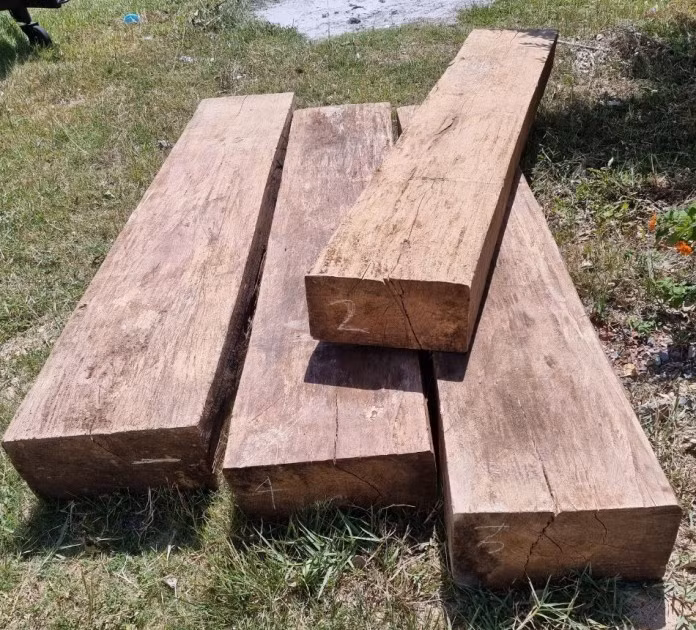 Lực lượng chức năng phát hiện và thu giữ số gỗ không rõ nguồn gốc.