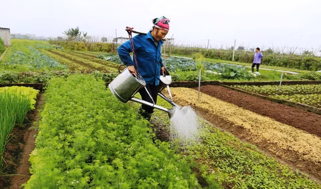 Việc làm xanh giúp giảm tác động khí thải đến môi trường