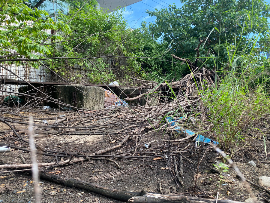 Nếu Thành ủy và nhà đầu tư thống nhất tiếp tục triển khai, ngành chức năng Đà Nẵng yêu cầu phía đầu tư liên hệ Sở Xây dựng để thực hiện thủ tục điều chỉnh quy hoạch và hoàn thành nghĩa vụ tài chính với Nhà nước.