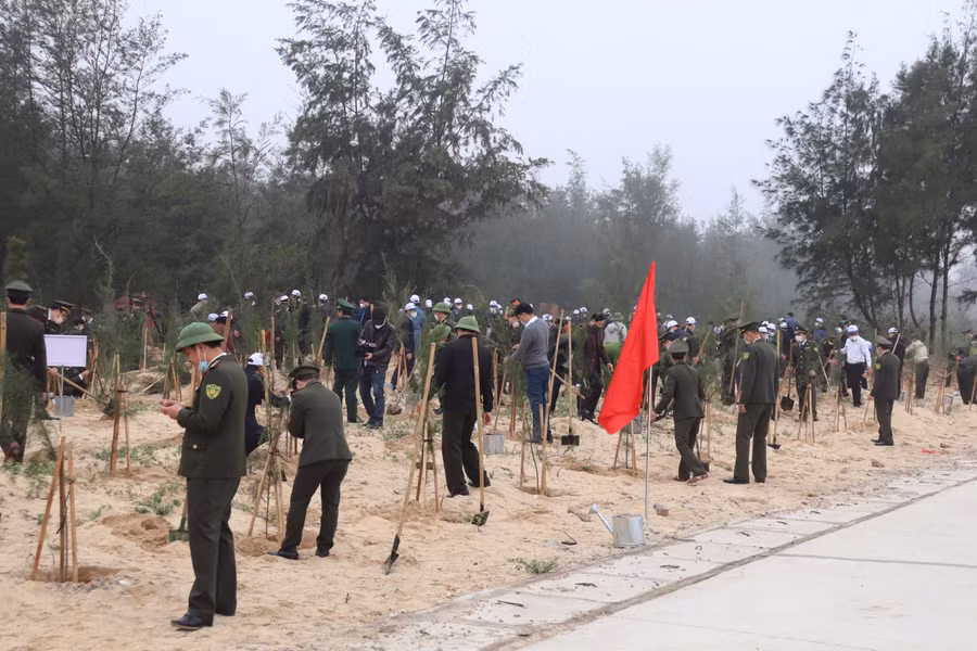 Ngay sau Lễ phát động, các đại biểu đã trồng 2.000 cây phi lao, đây là loài cây phù hợp với khí hậu, thổ nhưỡng của tỉnh Quảng Bình.