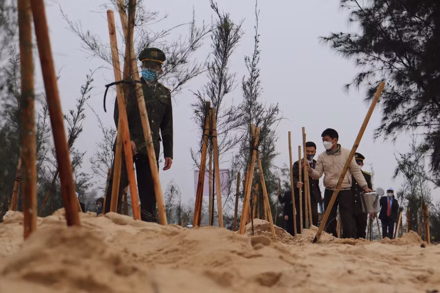 Năm 2022, tỉnh Quảng Bình đề ra kế hoạch trồng khoảng 9.000 ha rừng tập trung và gần nửa triệu cây xanh nhằm tiếp tục nâng cao độ che phủ rừng và phát triển kinh tế - xã hội.