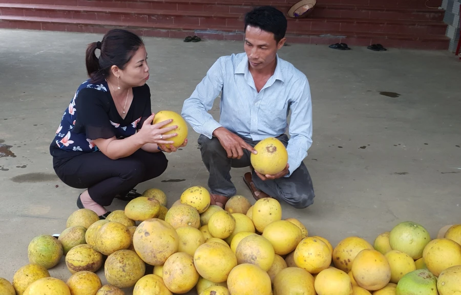 Trong CMCN 4.0 người lao động nông thôn cần được trang bị những kiến thức về thị trường để tăng hiệu quả tiêu thụ sản phẩm