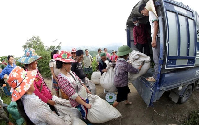 Phát triển sản xuất tạo, sinh kế để giảm nghèo bền vững cho đồng bào dân tộc thiểu số, miền núi là một ưu tiên đầu tư