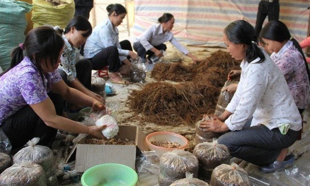 Mỗi nông dân giỏi đều có thể trở thành giáo viên dạy nghề cho LĐNT