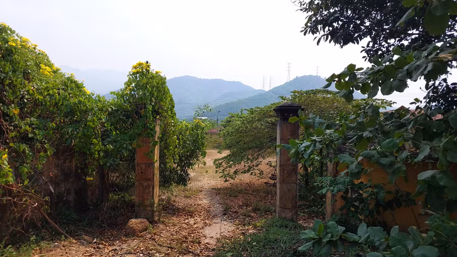 Đưa khu đất trên vào quy hoạch sử dụng đất là đất thương mại dịch vụ và cập nhật vào quy hoạch chung đô thị Hòa Vang.