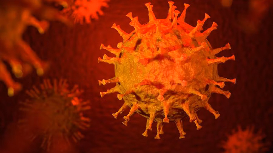 TP.HCM đã phát hiện 3 chuỗi lây nhiễm Covid-19 trong cộng đồng từ 18/5 đến nay (Ảnh: HCDC)