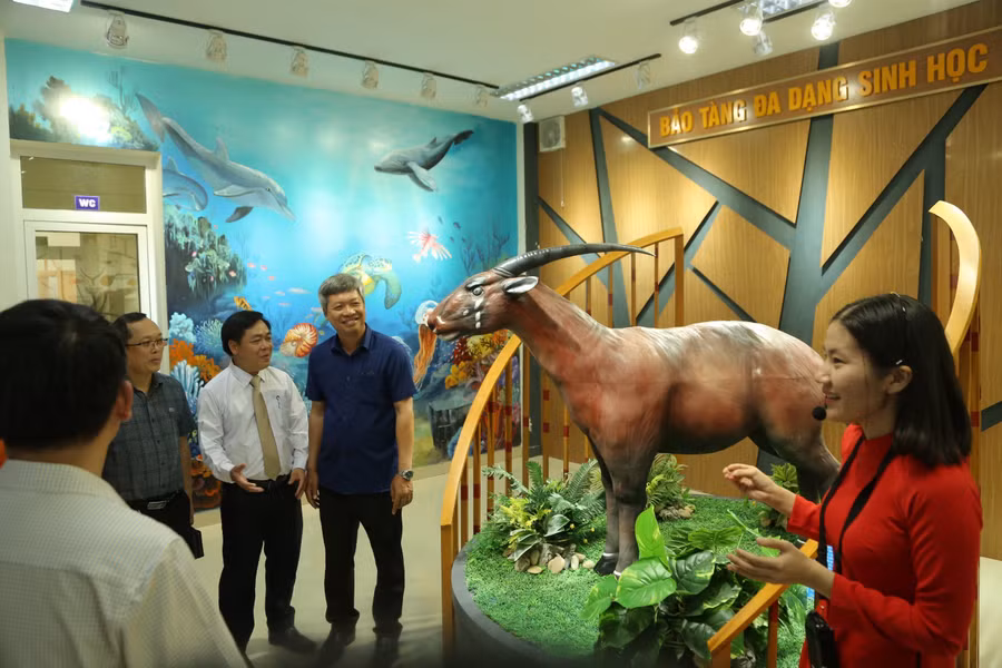 Các đại biểu tham quan bảo tàng.