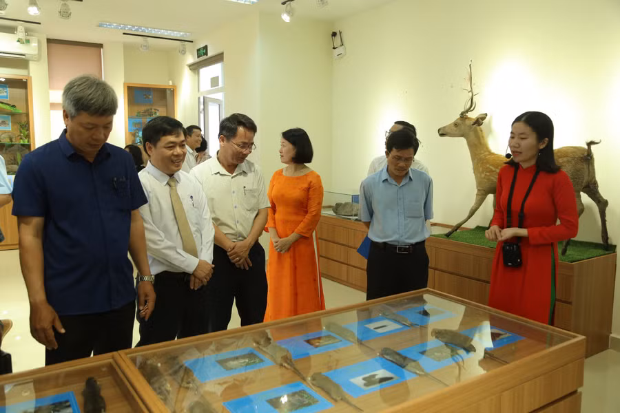 Các tiêu bản được về động vật được trưng bày trong bảo tàng.