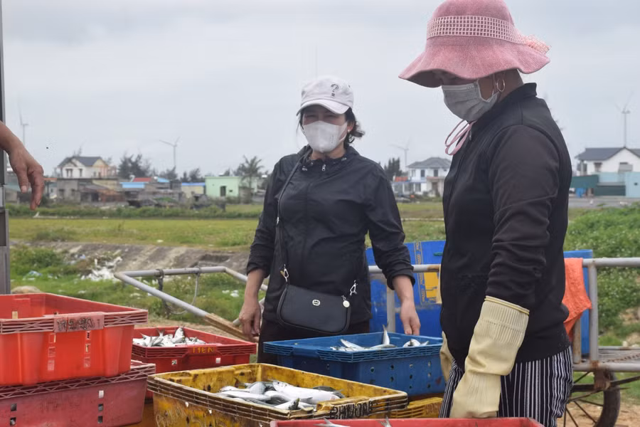 Khác với sự tấp nập, tranh giành nhau để thu mua cá từ ngư dân như trước đây, thì năm nay, các bến thuyền đều vắng bóng xe đông lạnh, chỉ còn lại một số tiểu thương đến thu mua với số lượng ít về tiêu thụ ở các chợ.