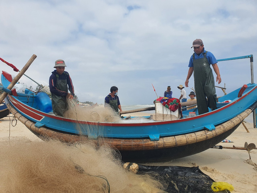 Do sản lượng đánh bắt được ít, giá bán giảm sâu và chi phí tăng cao nên ngư dân không mặn mà với việc vươn khơi.