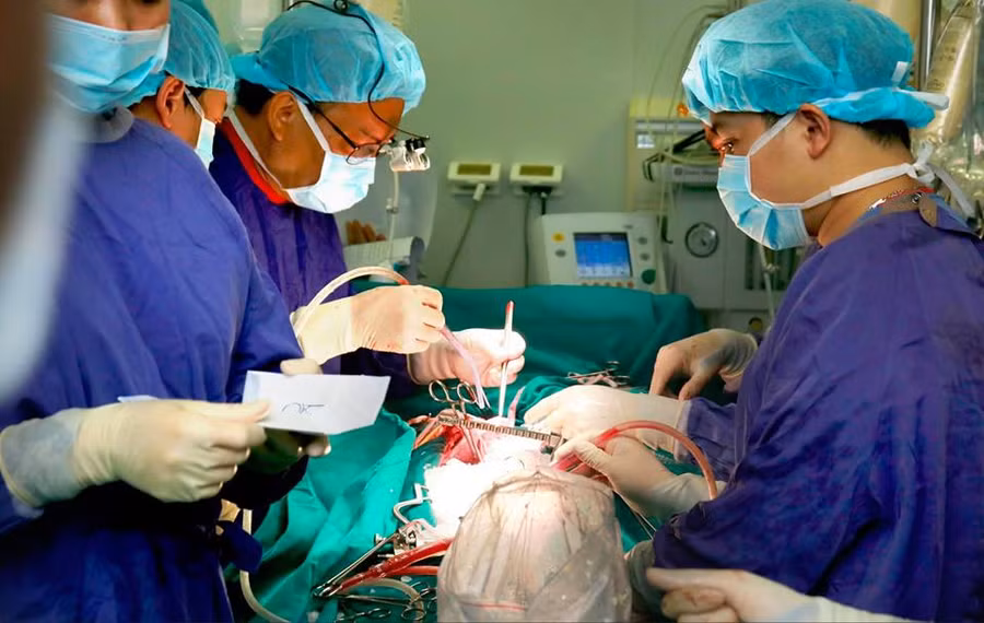Kỹ thuật ghép mô tạng ngày càng được nâng cao.