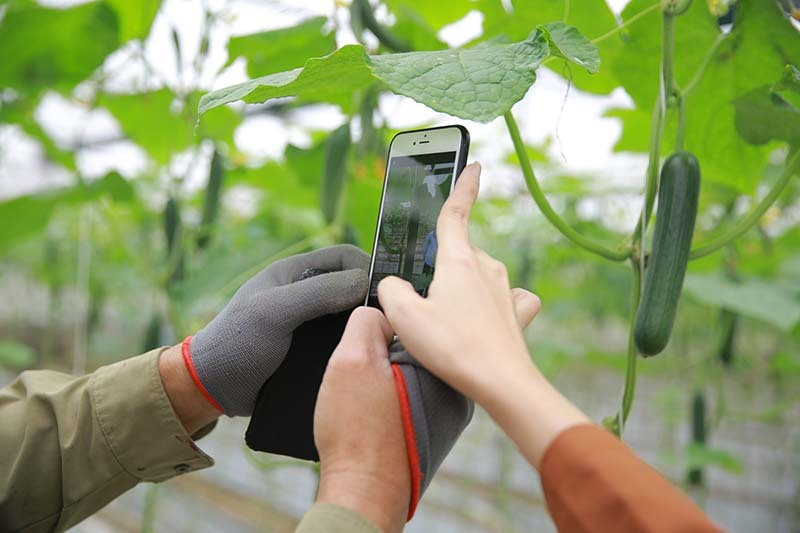 Nắm tay nhau bước lên chuyến tàu chuyển đổi số, Bộ trưởng Lê Minh Hoan mong không còn hình ảnh nông dân chân lấm tay bùn mà thay vào đó là hình ảnh người nông dân thông minh, người nông dân chuyển đổi số. Nắm tay nhau bước lên chuyến tàu chuyển đổi số, Bộ trưởng Lê Minh Hoan mong không còn hình ảnh nông dân chân lấm tay bùn mà thay vào đó là hình ảnh người nông dân thông minh, người nông dân chuyển đổi số.