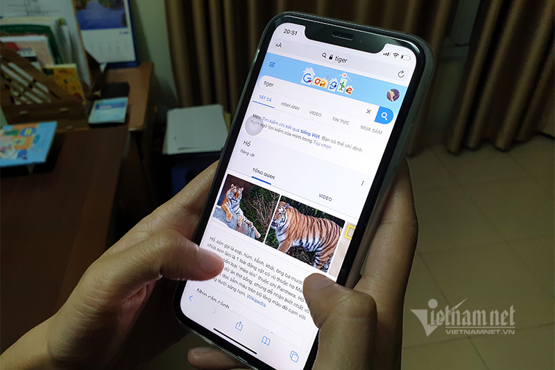 Đầu tiên, hãy search tên con vật trên thanh công cụ tìm kiếm của Google. Bạn có thể search bằng cả tiếng Anh và tiếng Việt. Google 3D Animal hiện chỉ hỗ trợ khoảng 30 loài động vật theo danh sách phía trên. Ảnh: Trọng Đạt Đầu tiên, hãy search tên con vật trên thanh công cụ tìm kiếm của Google. Bạn có thể search bằng cả tiếng Anh và tiếng Việt. Google 3D Animal hiện chỉ hỗ trợ khoảng 30 loài động vật theo danh sách phía trên. Ảnh: Trọng Đạt