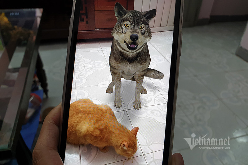 Sói ảo 3D bên cạnh một con mèo thật. Ảnh: Trọng Đạt.