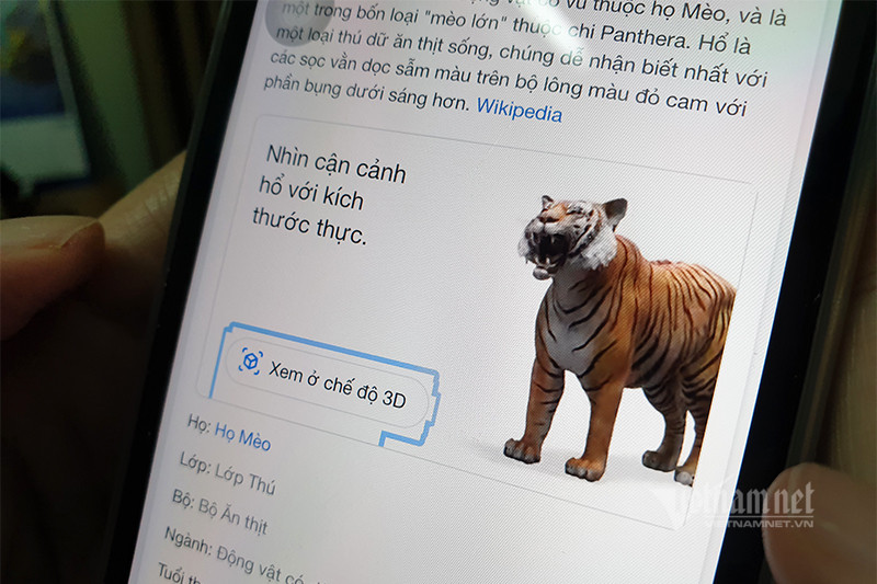 Sau khi tìm kiếm, kéo màn hình xuống dưới và chọn &quot;Xem ở chế độ 3D&quot;. Nếu không thấy tuỳ chọn này, thiết bị của bạn có thể không được hỗ trợ. Ảnh: Trọng Đạt.